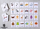 KARTY OBRAZKOWE dla dzieci x112 Kolorowe litery (6)